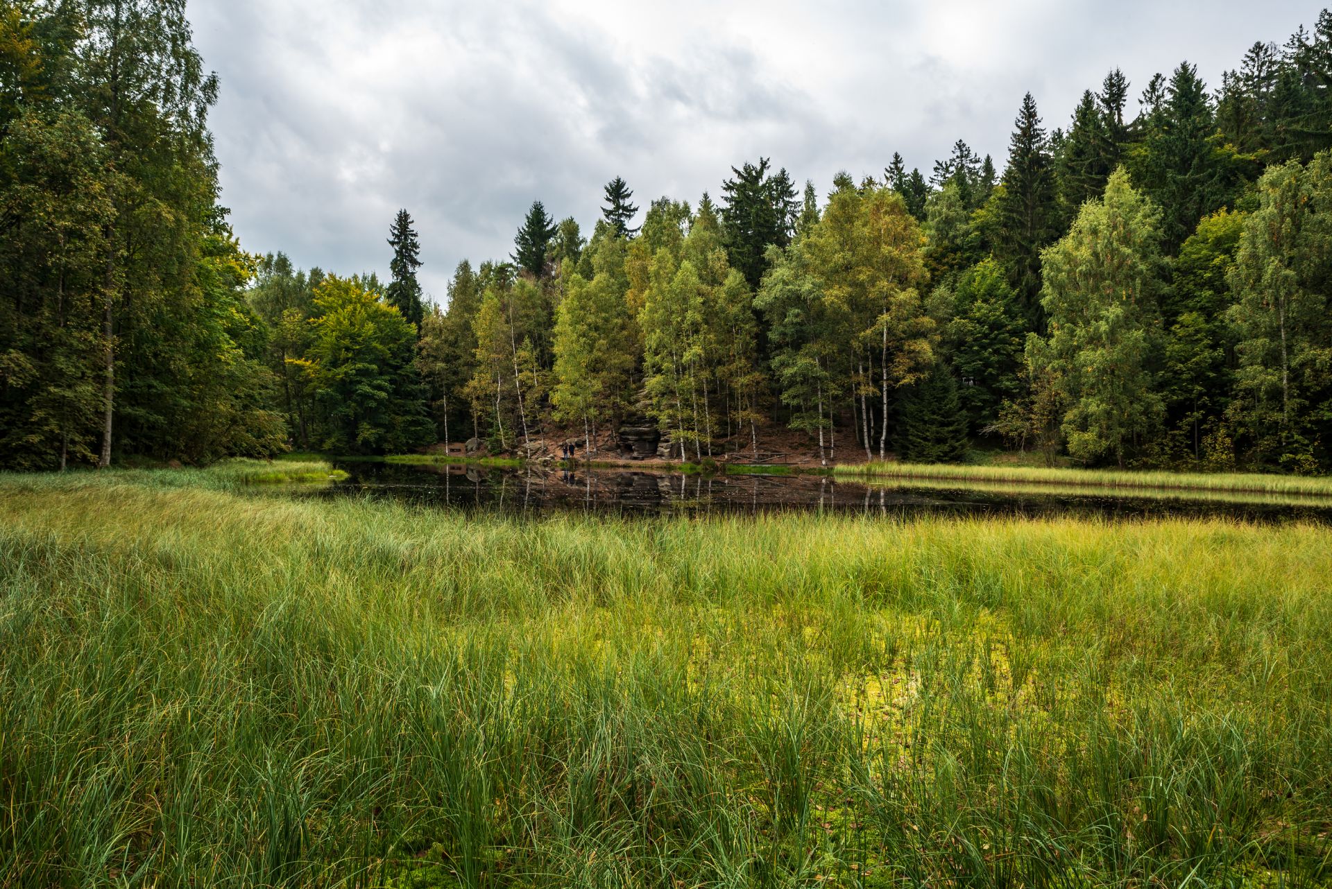 pozemek_v_chranne_krajinne_oblasti_kokoinsko__ilustrani_foto_k_pedkupnimu_pravu_statu