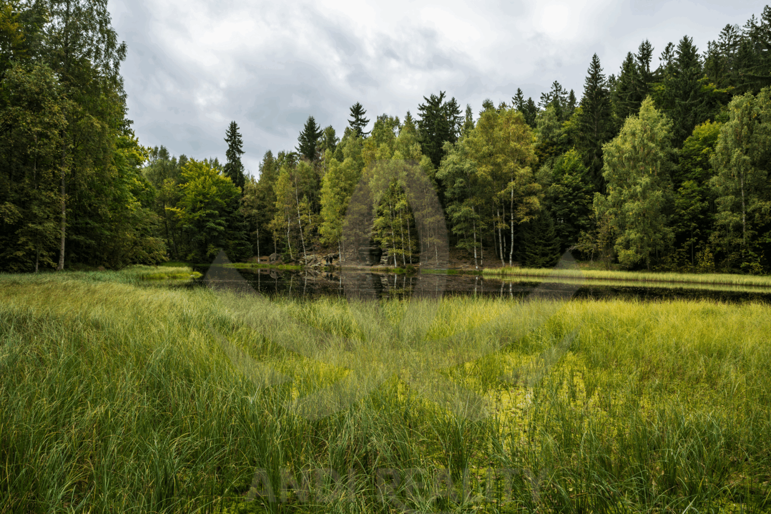 Pozemek v chráněné krajinné oblasti kokořínsko – ilustrační foto k předkupnímu právu státu