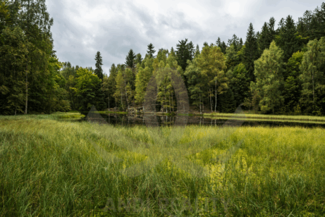 Pozemek v chráněné krajinné oblasti kokořínsko – ilustrační foto k předkupnímu právu státu